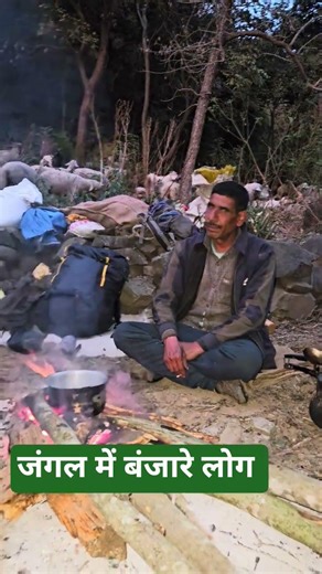 Night camping with Nomadic Shepherd's, Gujjar Himachali Hindu Nomadic Shepherd's
