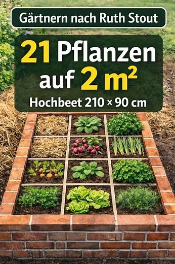 21 Pflanzen auf 2 m² – Hochbeet nach Ruth Stout