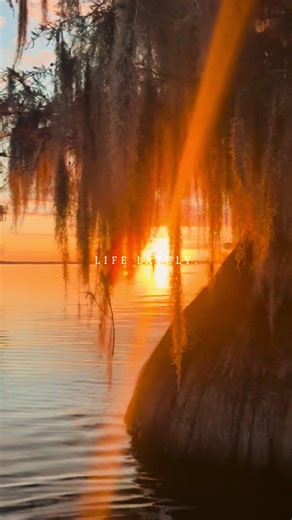 Unwind on Caddo Lake #airbnb #travel #vacation #caddolake #vacations | caddo lake