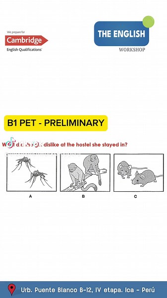 TEW B1 Listening Test Sample for Kids