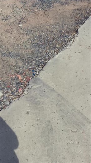 គណនីដែលបានណែនាំ