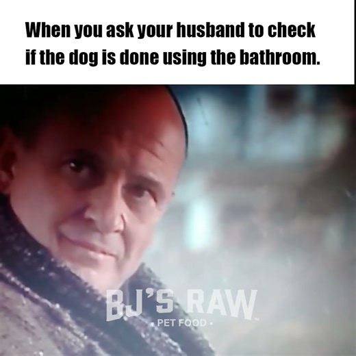 Home Alone Egghead Meme🤣🐶 #rawpetfood