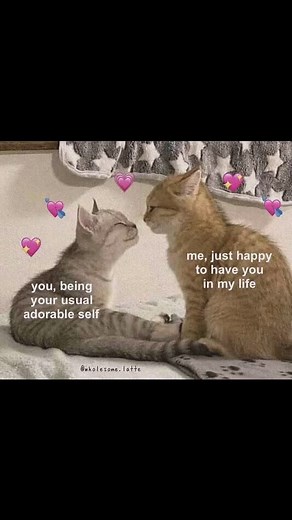 1.3K views · 3.9K reactions | Song name: Want You (New Version) by Matteo De Petris #lovecore #matteodepetris #wantyou #wanther #us #love #hopecore #sendthistoher | Matteo De Petris | Facebook