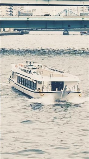 Ferry on Tokyo Bay #ferry #boat #ship #sailing #bridge #ocean #tokyo #japan n