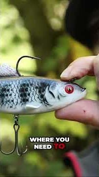 Some of his go-to pike lures 🎣