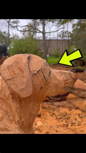 He brings lost dogs back through wood carvings 🐶🪵