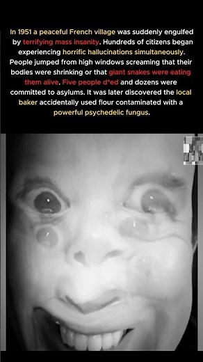 The Village That Hallucinated All At Once 🥖👁️ #darkhistory #history #historyfacts