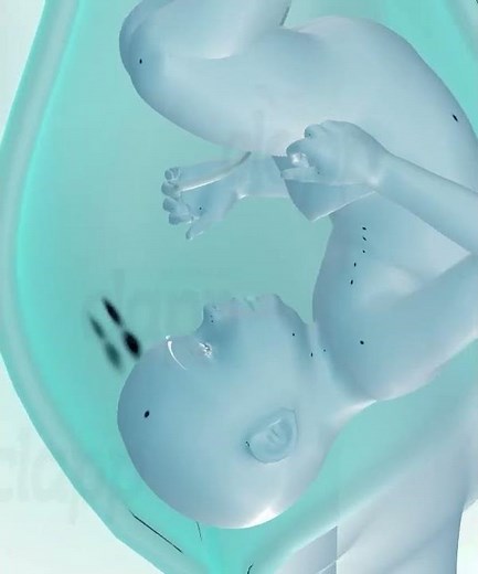 precious moments of Child birth (3D Animation)