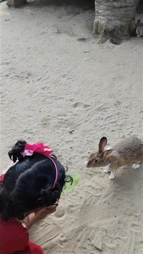 How Create Your Best Blog ? #blog #trending #shorts