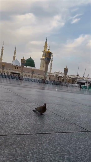 Madina Live | Madinah Live TV Online | Masjid Al Nabawi Live HD | Madinah Live Today 24/7 #shorts
