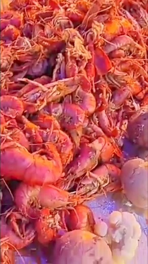 La capisca más grande del Perú y el mundo. #URASQUI#labarrera #camarón #camarones #capisca #ocoña | Wilson Javier Alvarez Coa