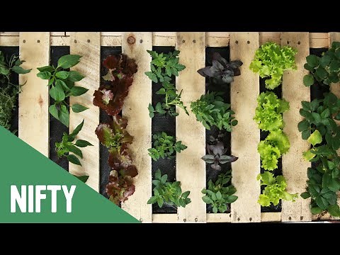 Vertical Fruit And Veggie Pallet Garden