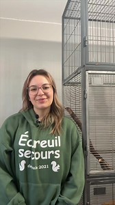 J’ai trouvé un bébé écureuil / des bébés écureuils 🐿️ À L’AIDE!! 😱 JE FAIS QUOI?Dois-je vraiment laisser la nature faire? Je les aide? Ont-ils vraiment besoin d’aide?➡️ on vous dit tout en 1 minute dans cette capsule 👇 | Écureuil secours