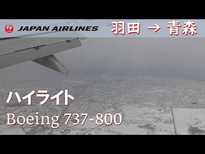 【大雪の青森空港着陸ハイライト】JAL日本航空／羽田空港→青森空港