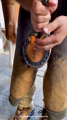 Extreme Work Perfection