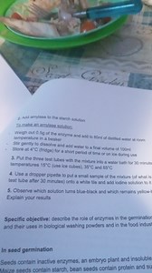 Experiment: Amylase and Starch SolutionPrepare amylase solutio... | Filo