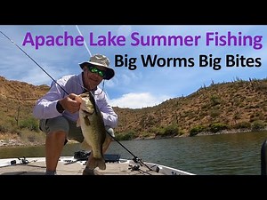 Summertime Bass Fishing at Apache Lake, Arizona - Big Worms and J-Rigs!