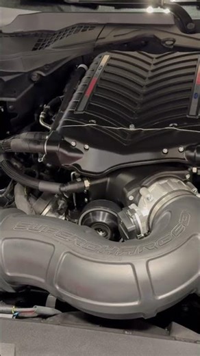 2025 ford mustang GT ford performance whipple kit whine #s650mustang #whipplesupercharger