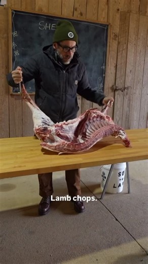 Jason | Sow the Land on Instagram: "Aw shucks a sheep keeps getting out! 🍽️ 🥩 🐑 😋"