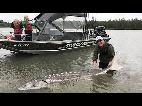 Fishing British Columbia!! Giant sturgeon, camping, and exploring (WT part 12)