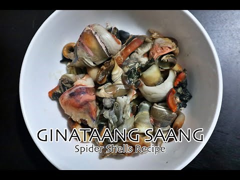 Simple Ginataang Saang | Easy Spider Shells Recipe