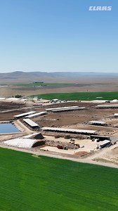 Feed quality starts in the field. At Hidden Valley Dairy, the CLAAS JAGUAR 970 harvests quality forages their high-producing cows demand. | CLAAS