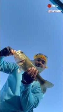 PB on the Dock Demon! 😈 ‪@zebcofishing‬