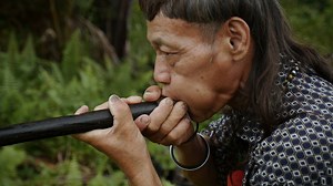 "There are many types of tree but the useful wood … there is only one," says Balan. Learn the ancient craft of blowpipe making. http://on.natgeo.com/1TFf9Fx | National Geographic