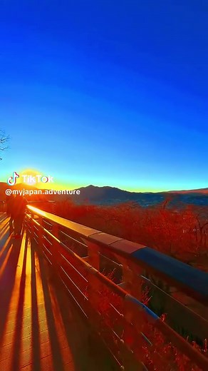 MyJapanAdventure on TikTok