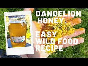 Dandelion Honey.Simple easy recipe.
