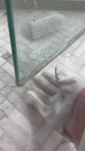 2M views · 3.4K reactions | Full Cleanning 識﫧狀粒 #cleanwithme #cleaned #cleanning #viralclean #viral #reels #cleanisbetter #clean #asmr #satisfayingcleaning #asmrcleaning #satisfy #satisfying #full | Cleanisbetter | Facebook