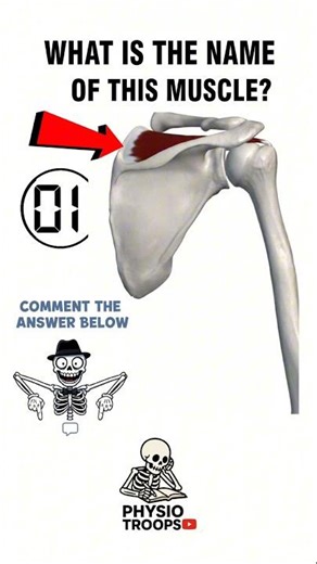 find the muscle name sixty seconds🔥❓