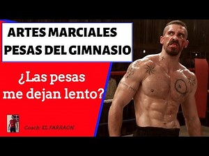 MARTIAL ARTS AND WEIGHT TRAINING