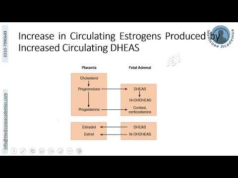 Parturition & Lactation