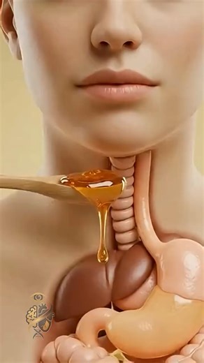 What REALLY Happens to Your Body When You Eat Honey?