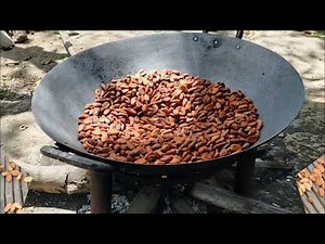 Making chocolates from cacao tree to chocolates Batangas style| How to make chocolates