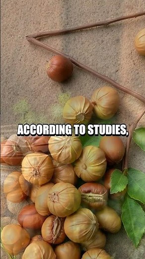 The Nutritional Advantages of Hazelnuts
