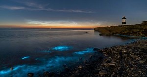 Magical bioluminescent plankton has been spotted across coastlines in Wales.