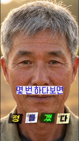 남의 땅에 집 지은 사건의 전말