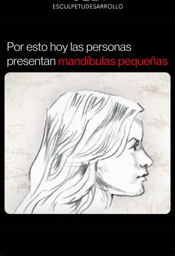 Causas de las mandíbulas pequeñas en humanos