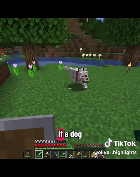 CDP is a go 😎 #AboutOliver #Minecraft #cryingobsidian | oliver minecraft