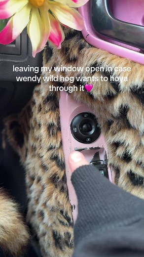 gah damn i really need to repaint my window trim thing.