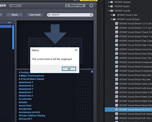 Omnisphere 2 Error Loading Waveform