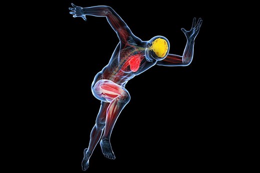 Clinical Considerations for Competitive Sports Participation for Athletes With Cardiovascular Abnormalities