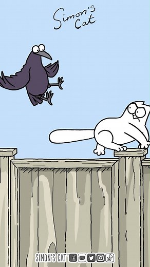 283K views · 9.9K reactions | Eat Sleep Meow Repeat! Watch our latest Colour Compilation now on our YouTube channel: https://www.youtube.com/watch?v=M6vVTZglSzM | Simon's Cat | Facebook