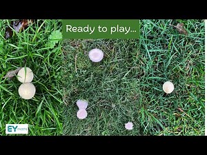 3 or Not 3 Subitising Game 1