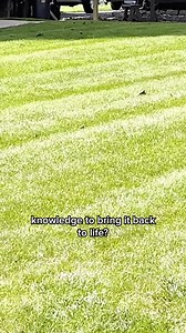 507 reactions · 13 shares | Here’s how to get a better-looking lawn than your neighbor’s (without lifting a finger): 1️⃣Hire Lawn Doctor to fertilize, nourish, and hydrate your lawn 2️⃣Hire the neighbor’s kid to cut the grass  3️⃣Enjoy your lush, green lawn “My lawn was a disaster. I liked what my neighbors had done with their lawn. Turns out they used Lawn Doctor. I’ve been with Lawn Doctor for 5 years.” - B Rossomondo | Lawn Doctor | Facebook