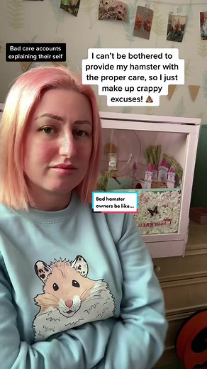 Excuses of Bad Hamster Owners