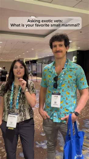 I went to the Exotic365 conference and asked a bunch of vets what their favorite small mammals were and why! 🐰🐹 Did your favorite make the list? I’m surprised nobody said rats, they’re one of my favorites (I just wish they lived longer)!🐀💕 Comment your favorite below so we can see which species wins! 🦔🏆 In order of appearance: @dr.lyle.dvm @herpdoc @doctorsydney_dvm (@faunavetcollective) @rob.coke (@southtexasavianexotics) @theanthonyvets (@atlaspetvets) @dogtorkevin @reptileaddict (@amc_o
