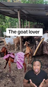 The goat lover #jamaicantiktok🇯🇲viral #storyteller #storytelling | Goat Story